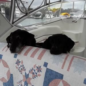 Meet your Posher, Jodi